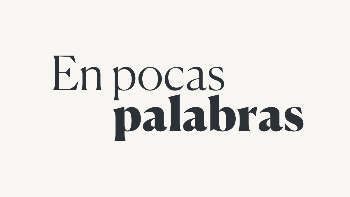 Sobre fondo gris un texto que dice 'En pocas palabras'